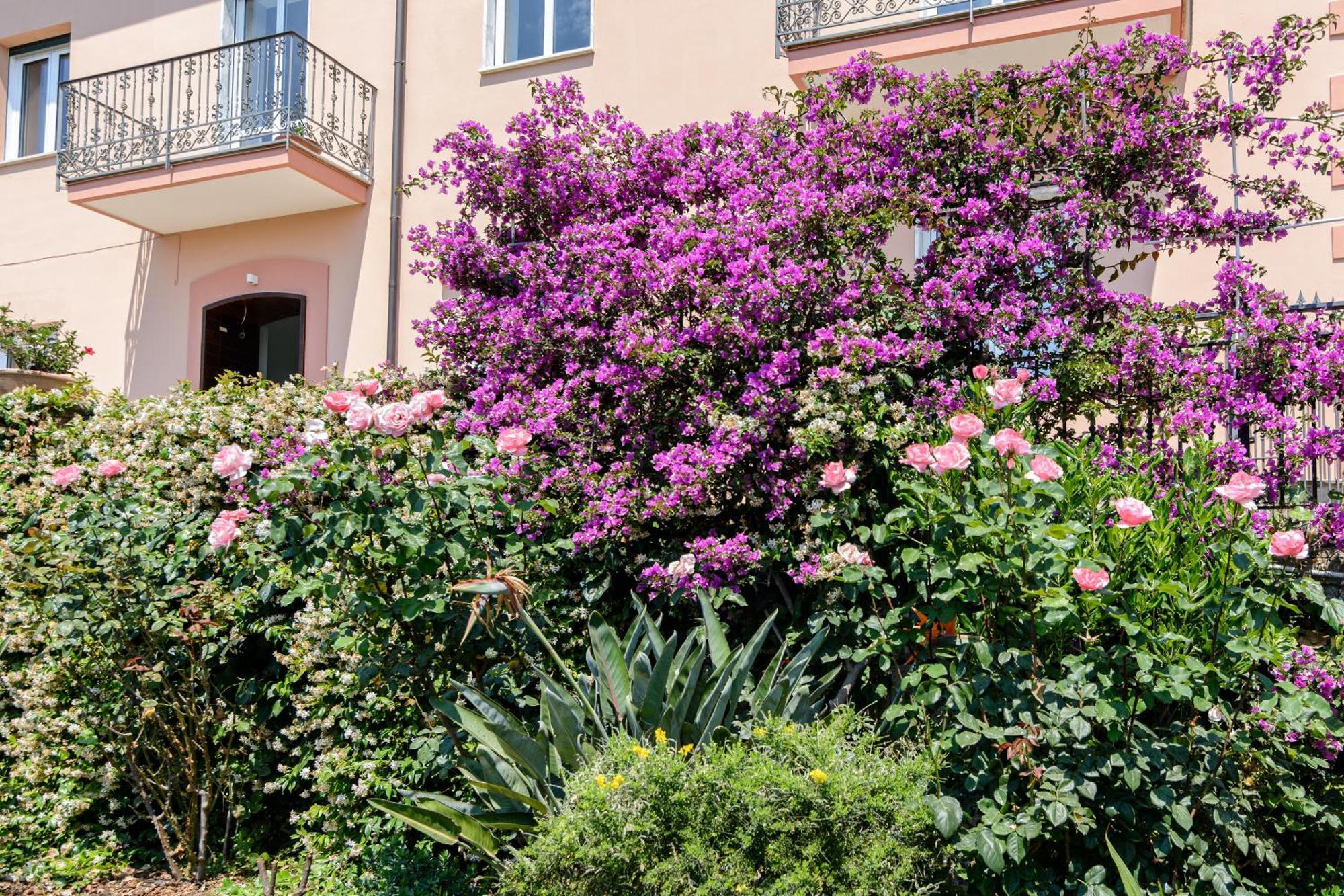 Villa Casa Vittoria Agropoli Exterior foto